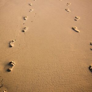 Valósítsd meg amire vágysz – 2×60 perc coaching beszélgetés - Vészits Alexandra